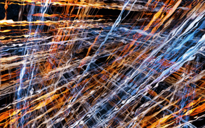 Climate Earth’s EPD Advantage Pro™: The EPD Game-Changer