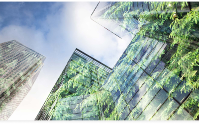 EU Construction Products Regulation Update: Key Takeaways